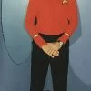 Disguises Mens Star Trek Original Shirt Hire Costume