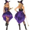 Disguises Witch Broomstick Babe Womens Costume Hire