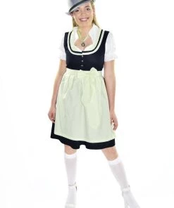 Disguises Womens Rustic Traditional Oktoberfest German Beer Girl Costume Dirndl