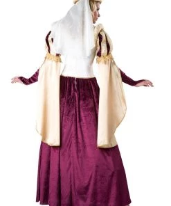 In Character Westeros Queen Womens Medieval Costume Hire