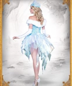In Character Elsa Snow Queen Deluxe Adult Womens Fancy Dress Adult Hire Costume