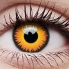 ColourVue Werewolf Halloween Contact Lenses One Day Colored Contacts Womens