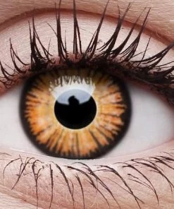 ColourVue Vampire Halloween Contact Lenses Twilight Multi Use Contacts