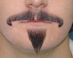 Carnival Products Buy Costumes Reggae Moustache Black