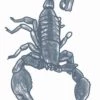 Tinsley Transfer Womens Scorpion Temporary Tattoo