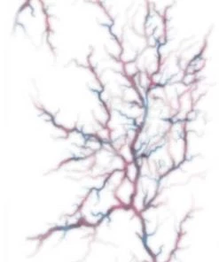 Tinsley Transfers Womens Possessed Trauma Temporary Face Tattoo