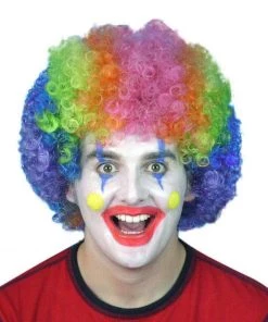 Carnival Products Clown Afro Rainbow Wig Circus Fancy Dress Accessory Womens