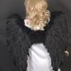 Interalia Angel Wings Black Buy Costumes