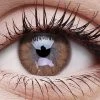 ColourVue Brown Coloured Contact Lenses Buy Costumes