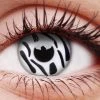 ColourVue Zebra Contact Lenses Buy Costumes